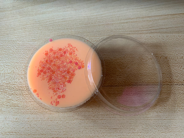 Flozora Paradise Peach Wax Melt Segment Pot