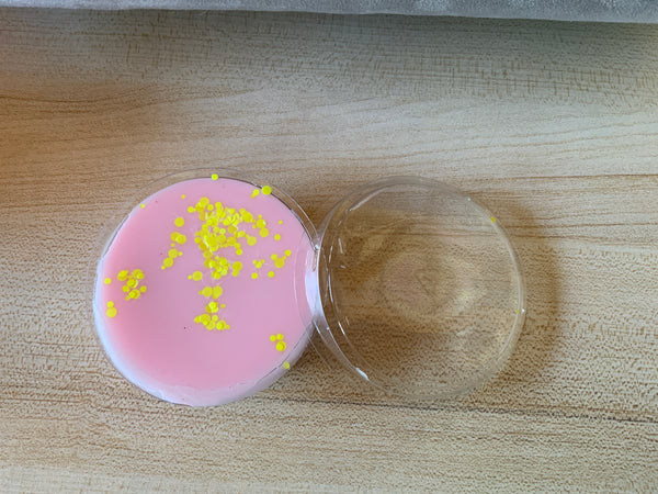 Pink Pineapple Sunrise Wax Melt Segment Pot