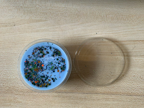 Sea Island Cotton Wax Melt Segment Pot