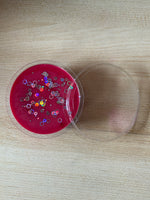 Baccarat Rouge Wax Melt Segment Pot