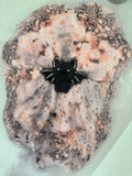 Bat Bath Bomb