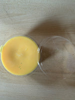 Sunny D Wax Melt Segment Pot