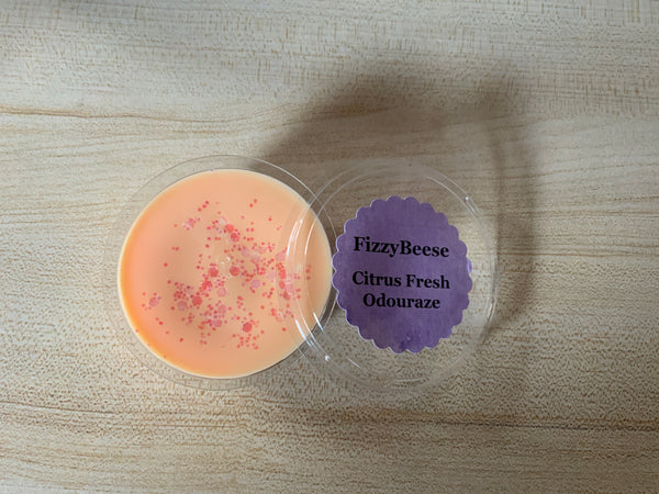 Citrus Fresh Odouraze Wax Melt Segment Pot