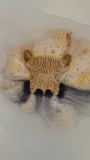Highland Cow Bath Bomb