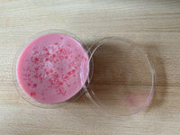 Pampering Bliss Wax Melt Segment Pot